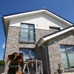 Buessow-2